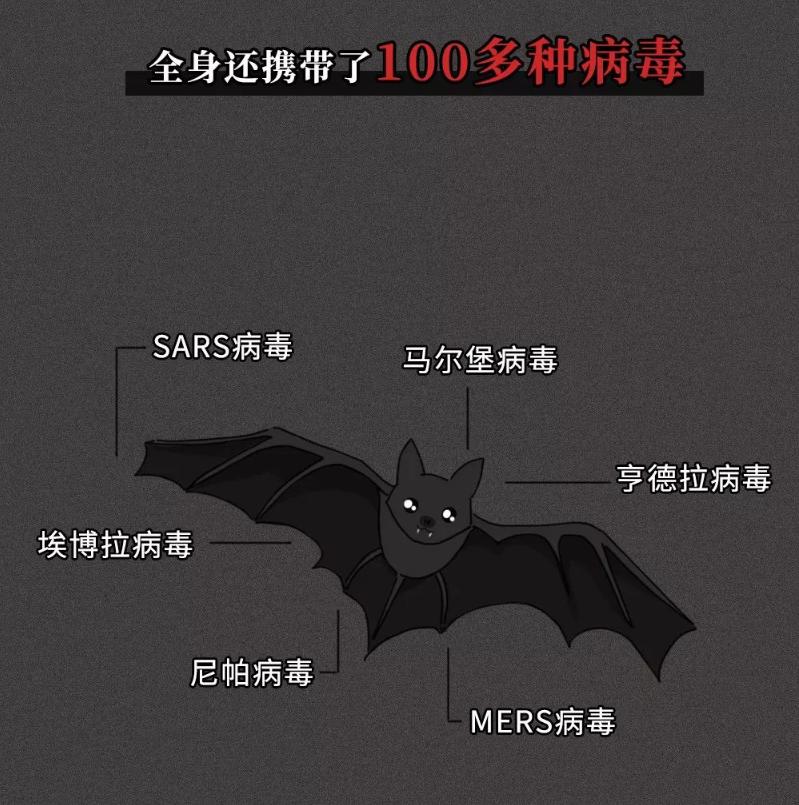 第977頁
