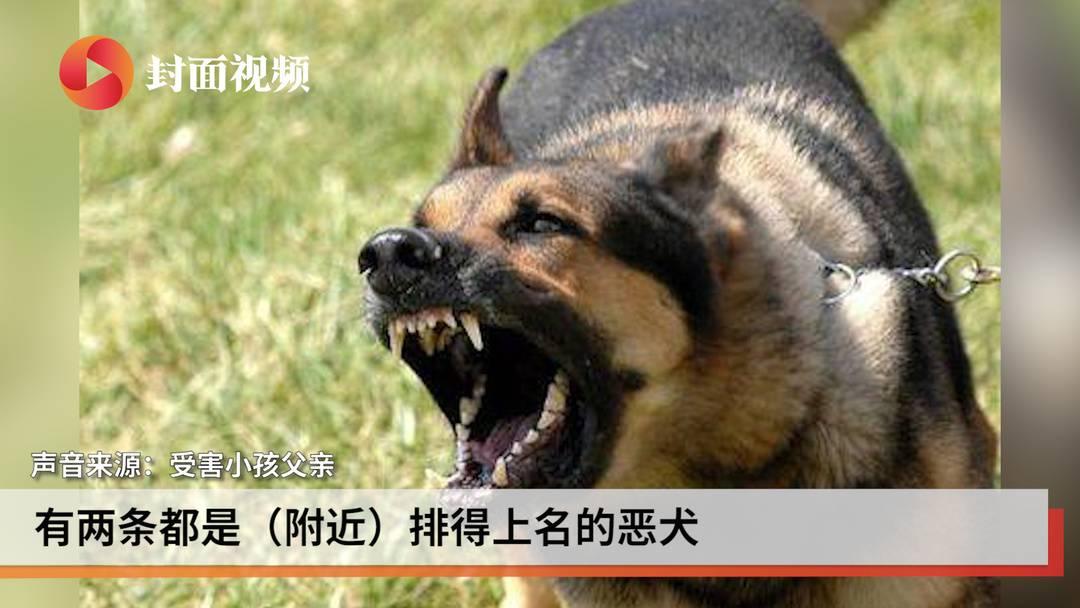 pvc管材生產(chǎn)線 第225頁