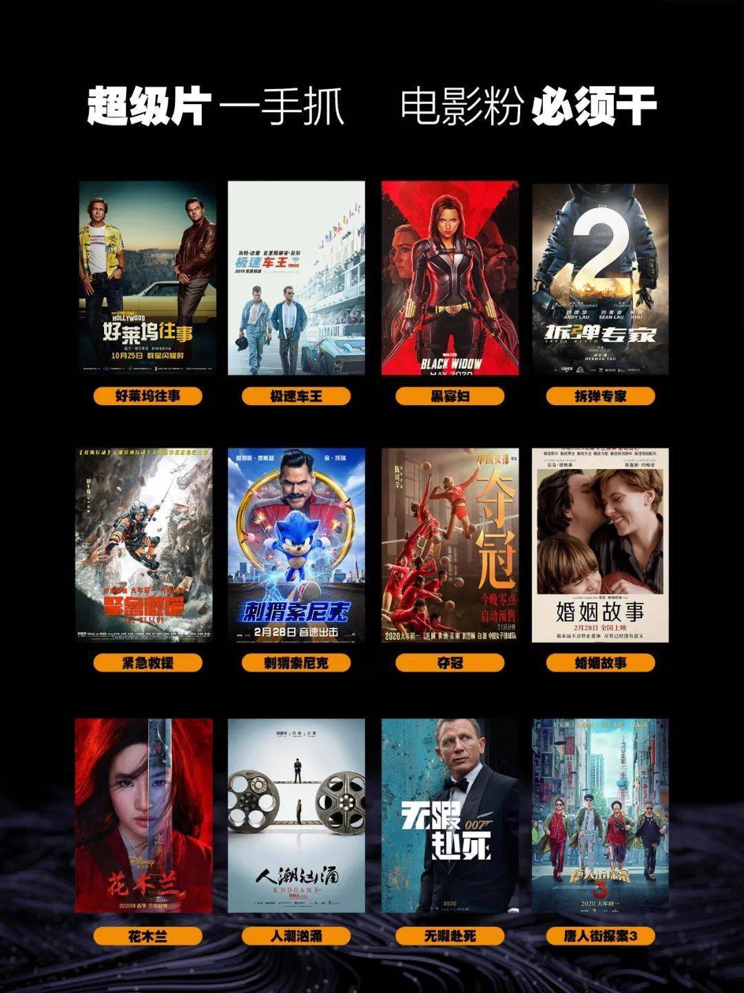 影迷聯(lián)盟最新動(dòng)態(tài)，電影文化深度探討盛會(huì)