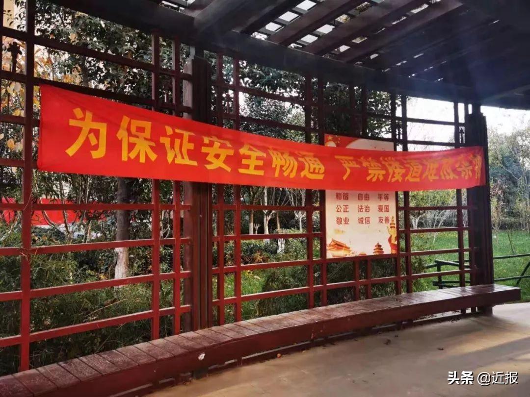 電信催繳最新動態(tài)，小巷深處的獨特電信小店探秘