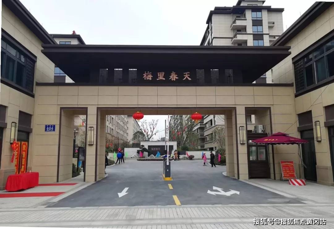全球蝗災(zāi)最新動(dòng)態(tài)，影響、應(yīng)對(duì)與全球關(guān)注