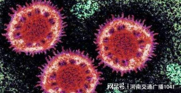 全球肺炎最新概況與動態(tài)分析